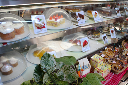カンテ グランデ 中津本店