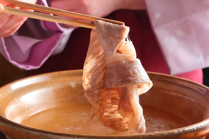 江戸菊