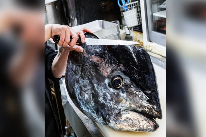 寿司居酒屋 すなおや 新大阪店